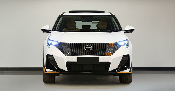 GAC EMZOOM SPORT PLUS2025