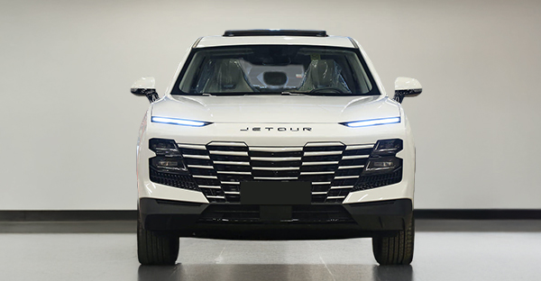 جيتور داشنج استاندر 2026 - من الخارج